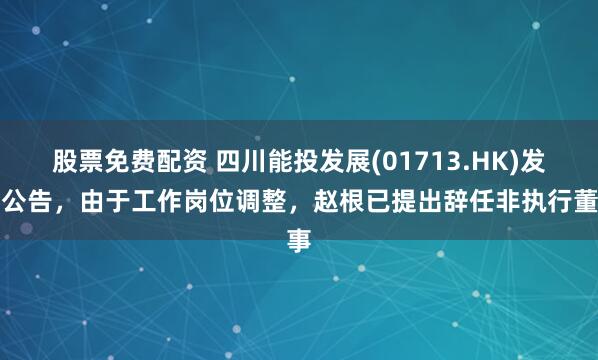 股票免费配资 四川能投发展(01713.HK)发布公告，由于工作岗位调整，赵根已提出辞任非执行董事